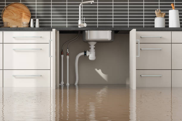  Canyon Lake, TX Water damage restoration Pros