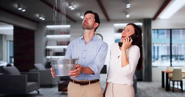 Best Ceiling water damage repair  in Canyon Lake, TX