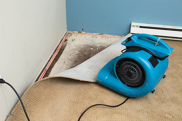 Best Carpet water damage restoration  in Canyon Lake, TX